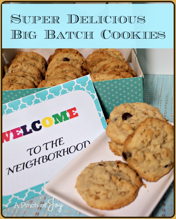 https://www.apinchofjoy.com/wp-content/uploads/2013/11/Super-Delicious-Big-Batch-Cookies.jpg